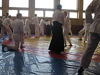 Aikido seminar by Mr. Makoto Ito