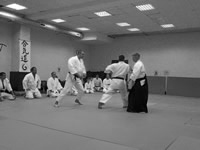 Aikido seminar by Vitaliy Goleshev in Moscow