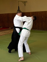 Aikido seminar by V.Goleshev