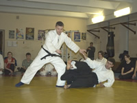 Martial aspects of Aikido techniques